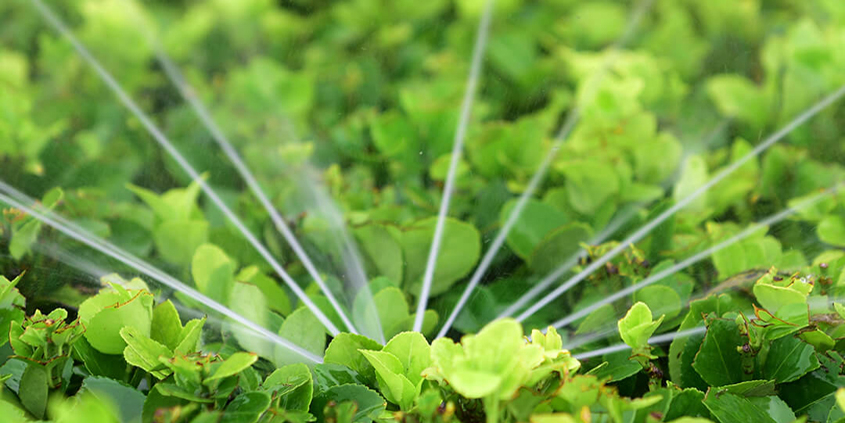 July is "Smart Irrigation Month," designed to call attention to efficient irrigation techniques to preserve the world's fresh water supply. Photo: Irrigation Association