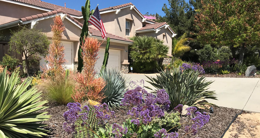 By showcasing her water-wise landscape, Brandt is providing other homeowners with great ideas about how to make their yards attractive and use less water. Photo: Vista Irrigation District Winning Vista Irrigtion District