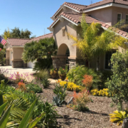 Colorful, waterwise plants replaced a thirsty, labor intensive front lawn in Deborah Brant's winning landscape makeover. Photo: Vista Irrigation District