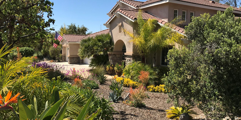 Colorful, waterwise plants replaced a thirsty, labor intensive front lawn in Deborah Brant's winning landscape makeover. Photo: Vista Irrigation District