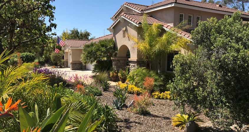 Colorful, waterwise plants replaced a thirsty, labor intensive front lawn in Deborah Brant's winning landscape makeover. Photo: Vista Irrigation District