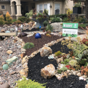 Landscape Makeover-Sweetwater Authority-Water Conservation-native plants