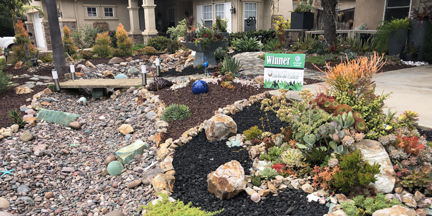 Landscape Makeover-Sweetwater Authority-Water Conservation-native plants