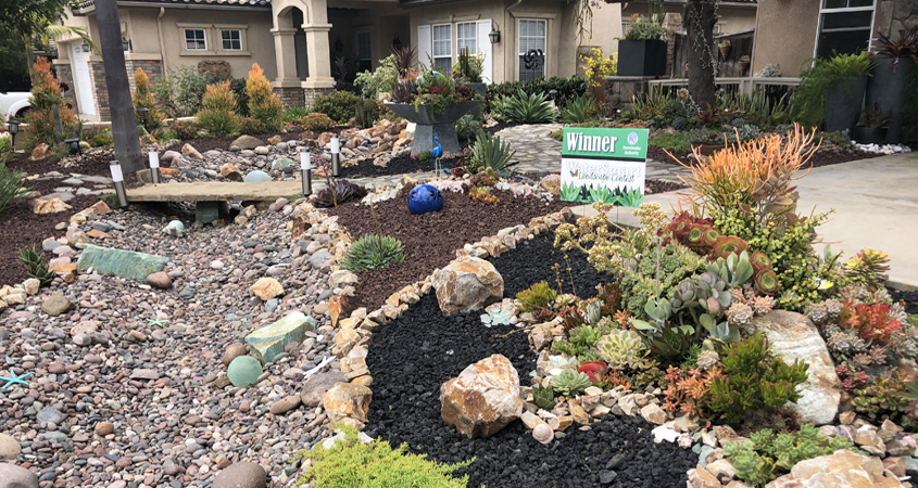 Landscape Makeover-Sweetwater Authority-Water Conservation-native plants