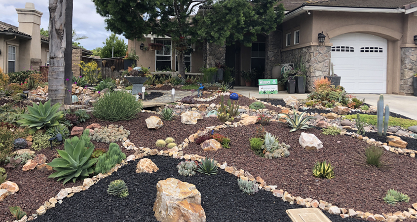 After: The stunning results of the landscaping transformation. Photo: Sweetwater Authority
