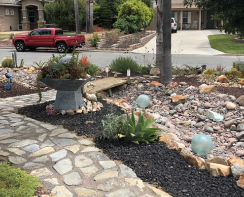 Conservation Q&A Drought-Tolerant