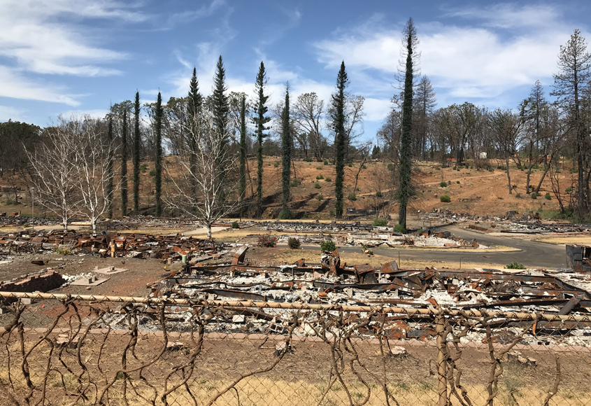 Damage remaining from the Camp Fire in Paradise, California. Photo: Padre Dam Municipal Water District