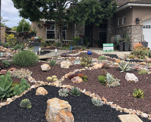 Planning for the amount of space your new plants will need when fully grown will help your landscape thrive. Photo: Sweetwater Authority
