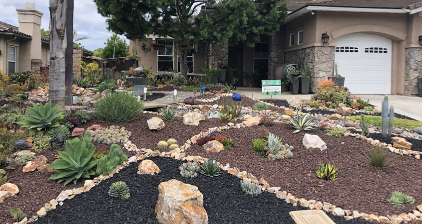 Planning for the amount of space your new plants will need when fully grown will help your landscape thrive. Photo: Sweetwater Authority