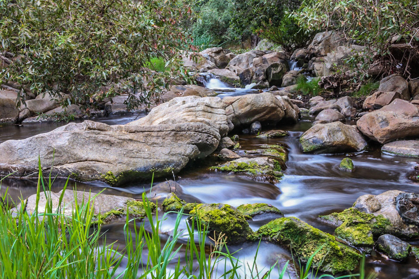 “Behind the Grass” by Daniel Humphrey won in the Water Scenery category. Photo: Courtesy Olivenhain Municipal Water District Elfin Forest 2019 Photo Contest