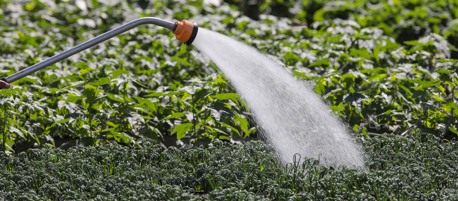 Special Agricultural Water Rates - WNN - Slider