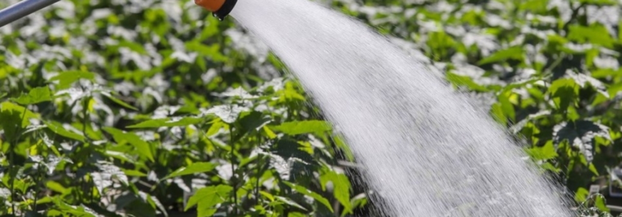 San Diego County Water Authority Special Agricultural Water Rate program