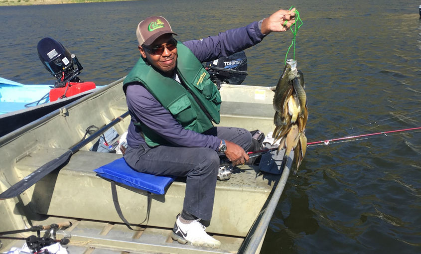 Bluegill are plentiful at El Capitan Reservoir in the Cuyamaca Mountains. Photo: City of San Diego