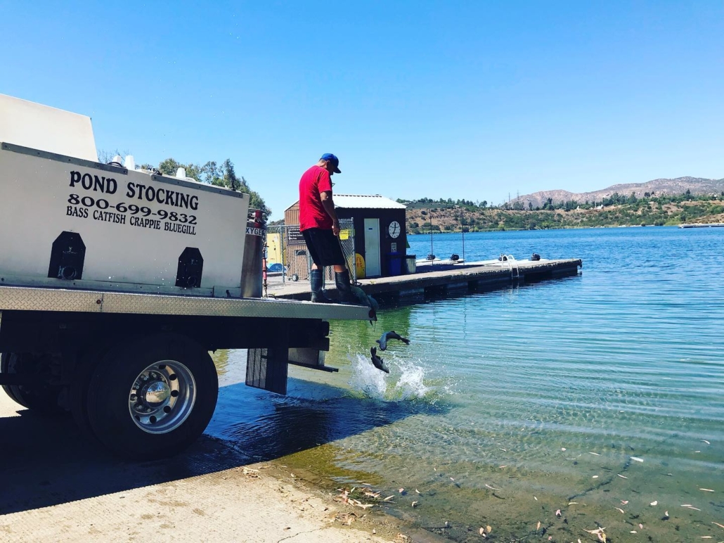 In August, catfish were stocked at Lake Jennings. Photo: Helix Water DIstrict