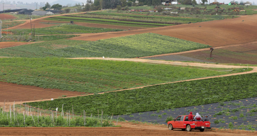 new-rebates-for-watersmart-irrigation-devices-in-san-diego-county