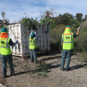 Murray Reservoir environment projects - City of San Diego