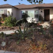 Soil-WaterSmartSD-Drought, Landscape makeover