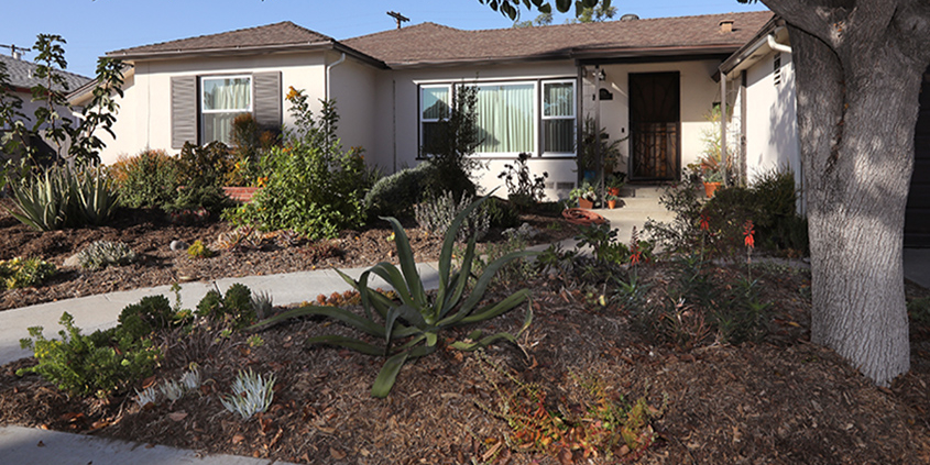 Soil-WaterSmartSD-Drought, Landscape makeover