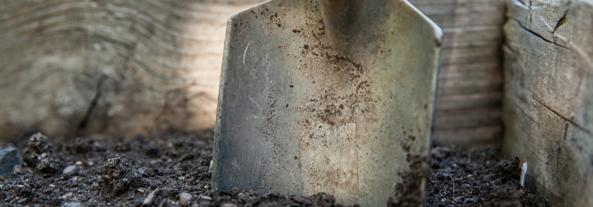 Set yourself up for landscaping success by building the best foundation in your soil structure. Photo: walkersalmanac/Pixabay healthy soil