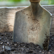 Set yourself up for landscaping success by building the best foundation in your soil structure. Photo: walkersalmanac/Pixabay healthy soil