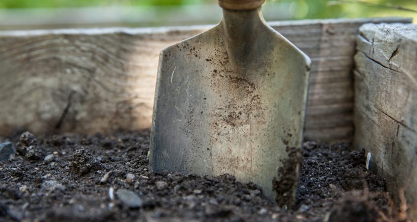 Set yourself up for landscaping success by building the best foundation in your soil structure. Photo: walkersalmanac/Pixabay healthy soil