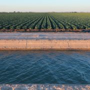 Calexico-QSA-Imperial Irrigation District-Imperial Valley