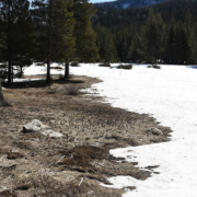 Sierra Nevada Snowpack Feb 27 2020 California DWR-WNN