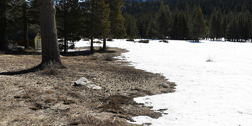 Sierra Nevada Snowpack Feb 27 2020 California DWR-WNN