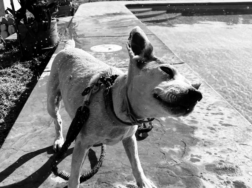 Honorable Mention, “Drying Off,” Katherine Ochoa, Bonita Vista High School, Grade 11