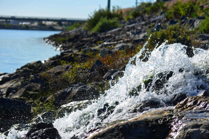 3rd Place, “Running River Water,” Erick Gallardo II, Sweetwater High School, Grade 11