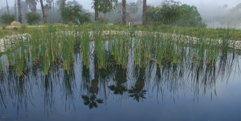 IRWM - SD Wild Animal Park Biofiltration Wetland