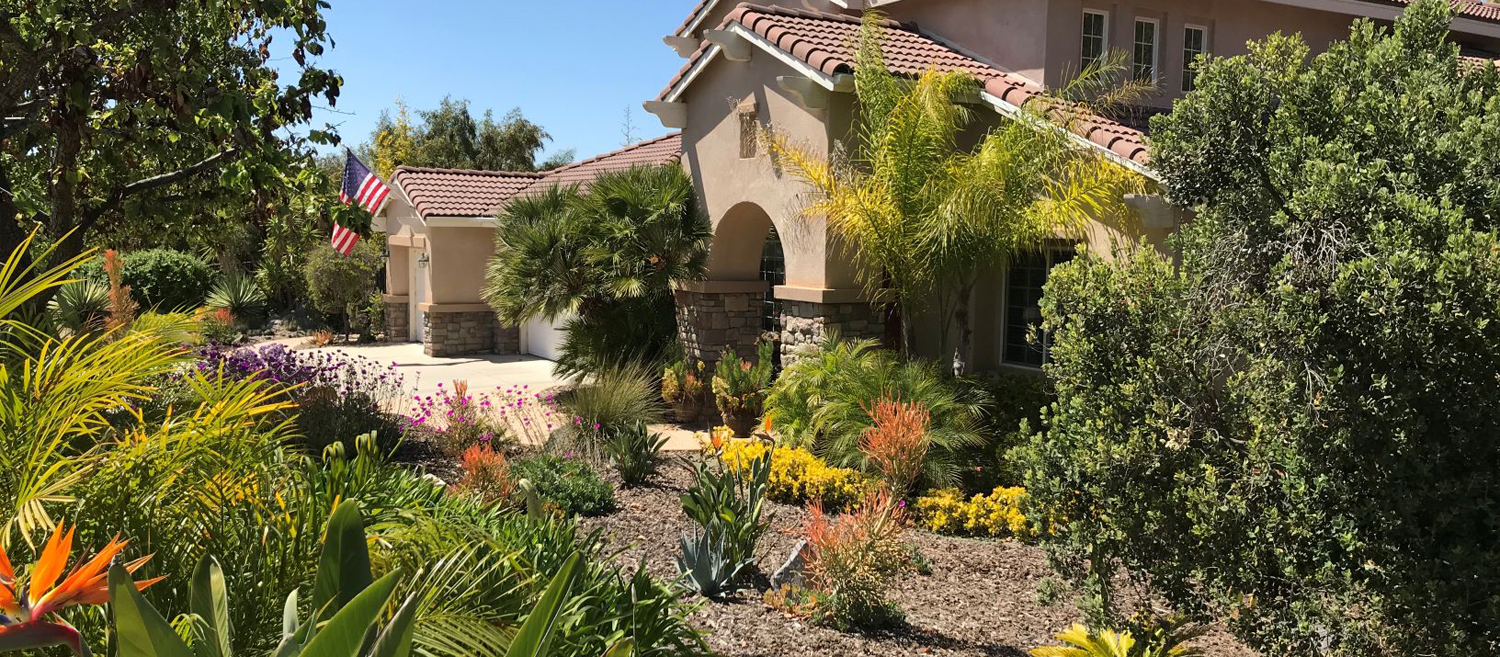 Colorful, water-wise plants replaced a thirsty, labor intensive front lawn in Deborah Brant's winning 2019 landscape makeover. Photo: Vista Irrigation District
