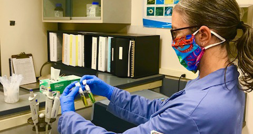 Scholarships-In her job at the City of Escondido Water Quality Lab, Associate Chemist Sarah Shapard performs tests analyzing for ammonia. Photo: City of Escondido Water industry education