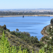 Miramar Reservoir will reopen for public recreation on Friday, May 25. Photo: City of San Diego San Diego Reservoirs reopen