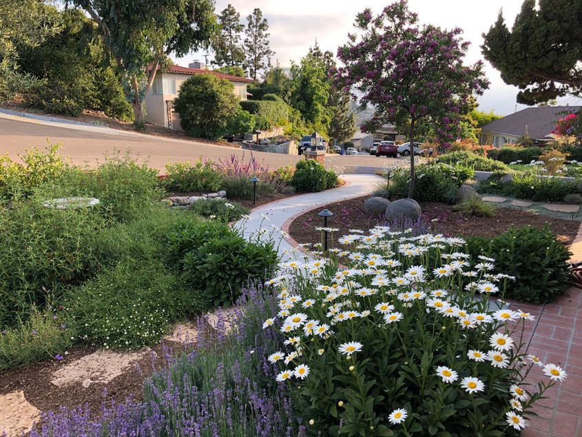 The new landscape design offers more privacy from surrounding streets. Photo: Helix Water District La Mesa Landscaping