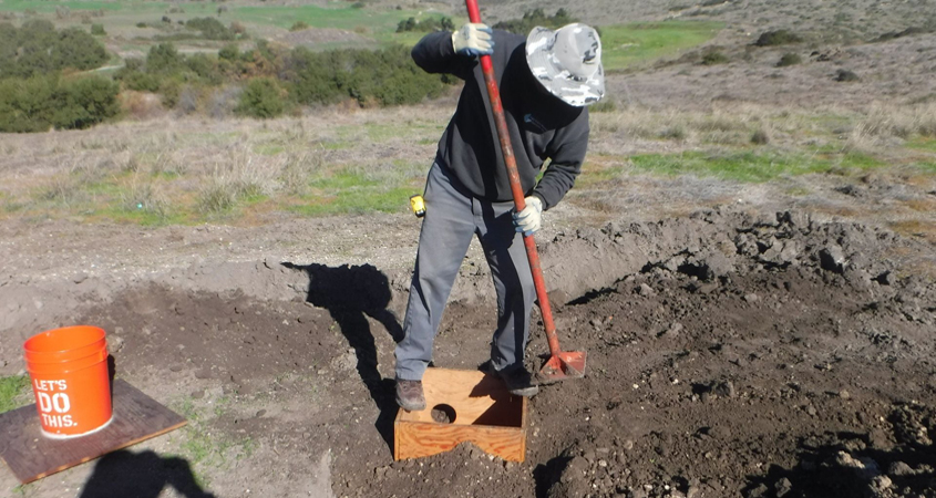 This year, the Otay Water District used the updated burrow design recommended by the CDFW and developed by the San Diego Zoo Institute for Conservation Research. Photo: Otay Water District