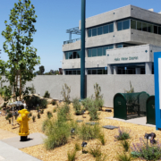 demonstration garden, WaterSmart, Helix Water District