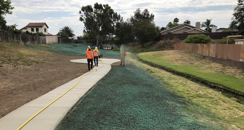 Due to its incredible strength, the grass-crete and existing lawns can handle the weight of a large service vehicle driving on it without significant damage. Photo: Vallecitos WD