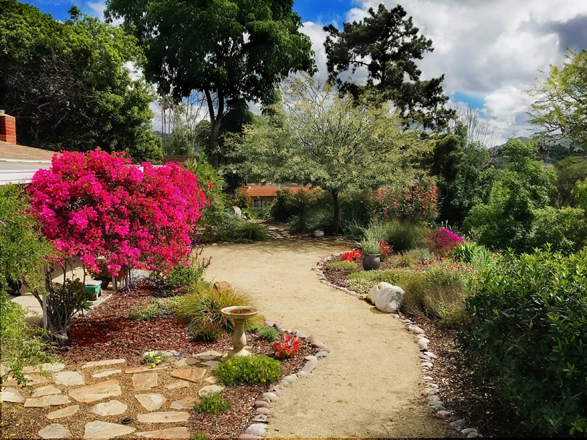 Understanding the components of a Waterwise watering system and basic landscape design elements helped give the Woodward family the confidence to follow through with their landscape makeover. Photo: Vista Irrigation District