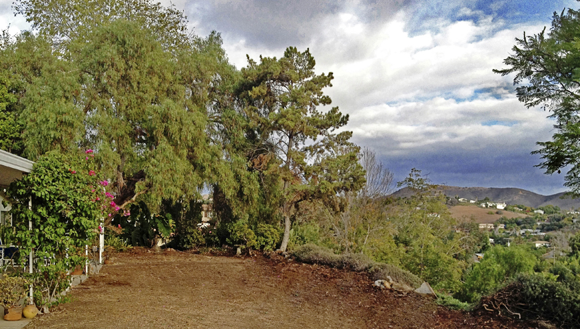 The Woodward landscaping prior to its makeover. Photo: Vista Irrigation District
