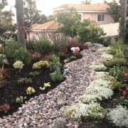 The Zeigler family of Vista replaced a labor intensive lawn with a beautiful pollinator friendly landscape to win the 2020 VID Landscape Makeover Contest. Photo: Vista Irrigation District