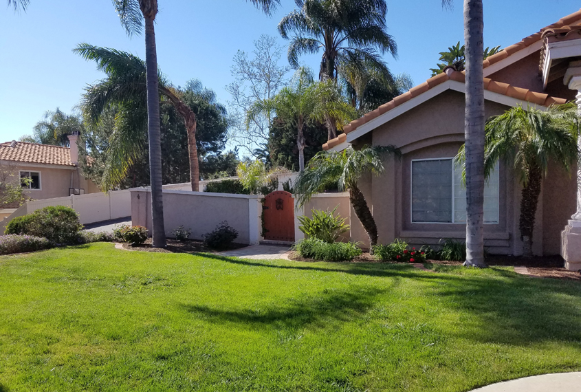 After taking a WaterSmart Landscape workshop last spring, the Zeiglers used their knowledge to transform their monotone front lawn to a colorful bloom filled garden reminiscent of their favorite European gardens. Photo: Vista Irrigation District