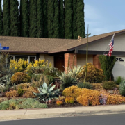 The winning landscape makeover features a lush palette of plants in place of a thirsty lawn. Photo: City of Escondido waterwise landscaping