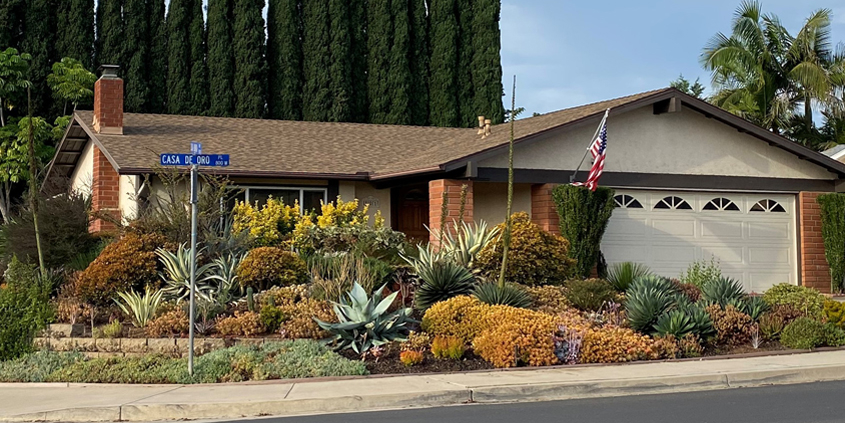 The winning landscape makeover features a lush palette of plants in place of a thirsty lawn. Photo: City of Escondido waterwise landscaping