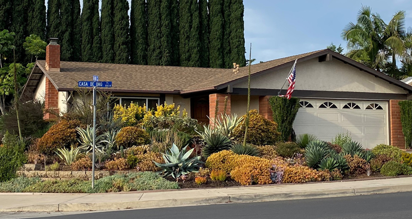 The winning landscape makeover features a lush palette of plants in place of a thirsty lawn. Photo: City of Escondido waterwise landscaping