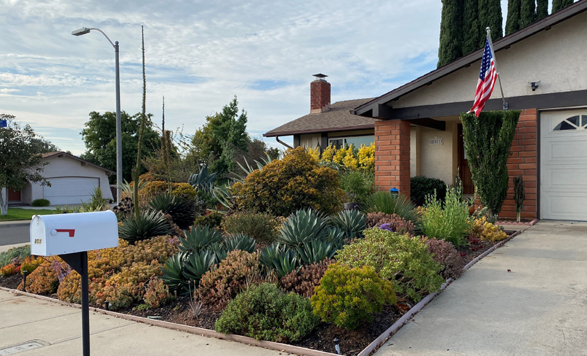 The Brants selected plants they loved and "found a place" for them. Photo: City of Escondido