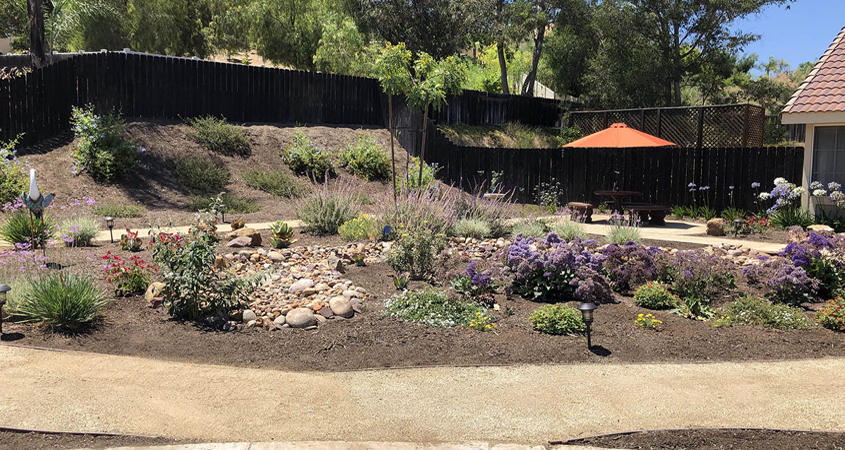 Patricia Wood solved her gopher infestation while transforming her landscaping into a waterwise design. Photo: Otay Water District