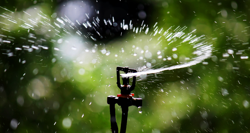 If your irrigation system overflows from landscaping, runoff water may carry pollutants like pesticides, herbicides, and fertilizers into the storm drain system. Photo: Wikimedia