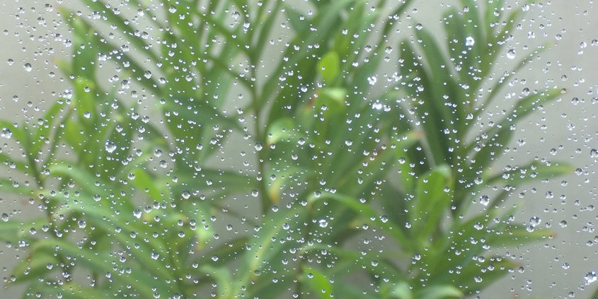 Capture Rain-Drought-Rain Barrels-Rebates