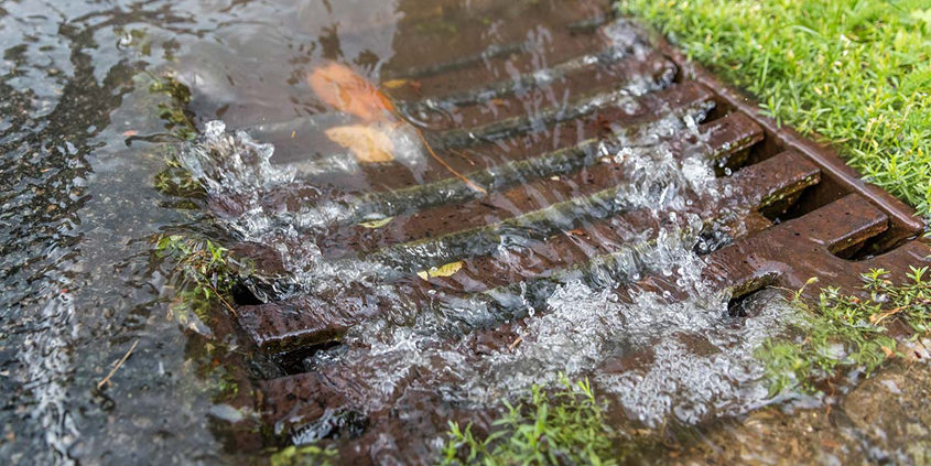 A new County of San Diego online resource can help you protect watershed by diverting it from the storm drain system. Photo: NIH.gov